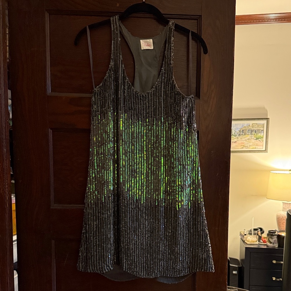 Parker Silver and Green Sequin Dress